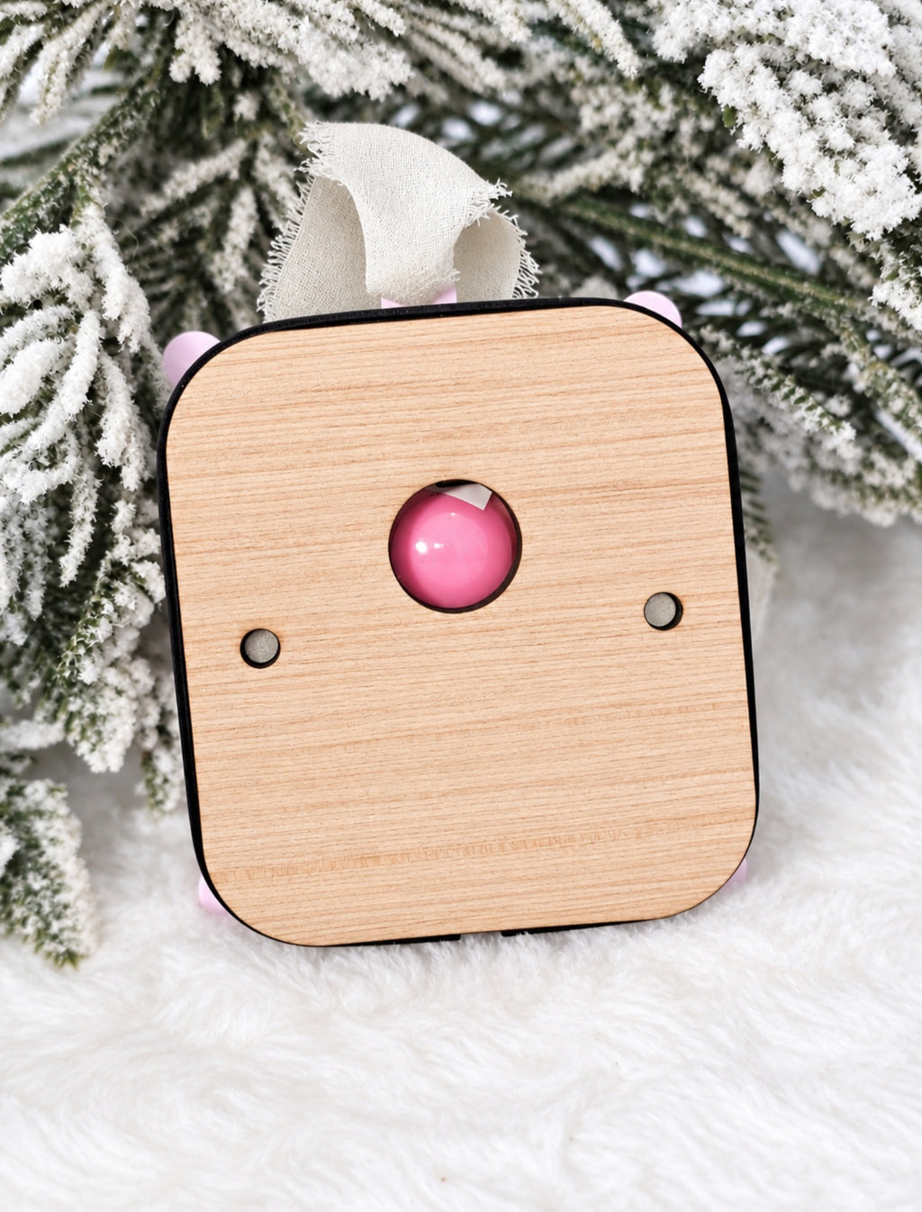 Talking Pet Ornaments